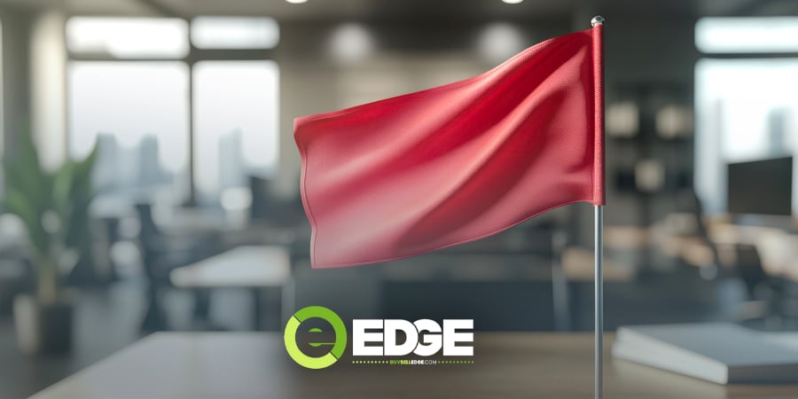 Spotting Red Flags Before You Buy a Business
